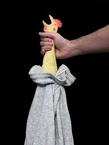 Rubber chicken - Alchetron, The Free Social Encyclopedia