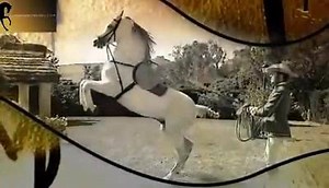 153K views · 3.3K reactions | Ejercicios de Alta Escuela | Centro Cultural Ecuestre Domecq | Facebook