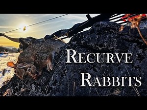 Recurve Rabbits. Catch and Cook, Traditional Bowhunting Rabbits