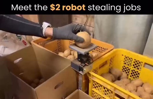 A.T.C | Japanese farmer named Mr. Shiozawa won the Saitama New Business Award after building a fully working potato sorting machine at home for... | Instagram