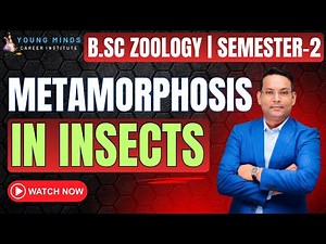 Metamorphosis in Insects | B.Sc Zoology | Semester-2