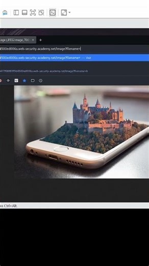 Solve lab 3 OS Command (Linux) Injection on portswigger