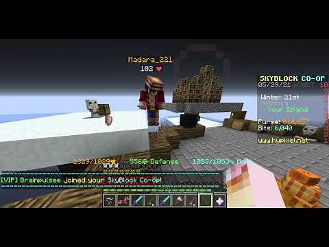 I got co-op scammed for all my stuff in hypixel skyblock...