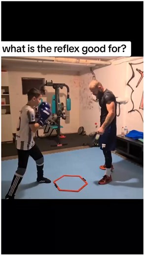 Develop your Reflex 🦁🦍🤩🤩#boxing #box #boxeo #UFC #mma#boxing #boxingtraining | Boxing Drill2
