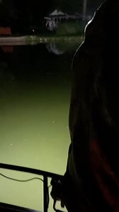 I think my lights are a little brighter #fyp #bowfishing #fishing #bow #karen #angrygrandpa #reelsfb #reelsviral #reels | Xon Reel x34