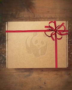 Think outside the box this Christmas. Give a WWF animal adoption and support our vital work around the world. | WWF UK