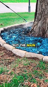 The mulch bed makeover my wife actually approved of! 🙌 Skipped the $800 quote and did it myself for $124.77 using pavers, new mulch, and Lockscape Sticky Mulch — the real MVP. Still looks perfect after wind and rain! #diybackyard #BudgetUpgrade #mulchhacks #backyardgoals #amazonfinds | PetraMax