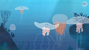 I’m a Fish is a series of animated short films which showcases sea creatures from all around the world! Your little ones can watch I'm a Fish throughout the schedule on the RTÉjr channel - Saorview 7, Sky 624, Virgin Media Ireland 600. Monster Entertainment | RTÉjr | Facebook