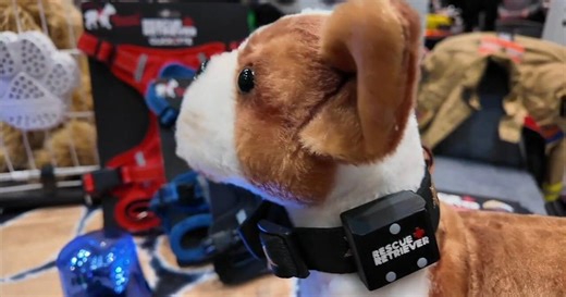 What the Tech? Simple products designed to solve everyday problems