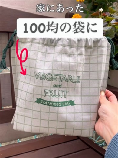 100均でチューリップ球根を植える方法｜鉢なしで簡単DIY