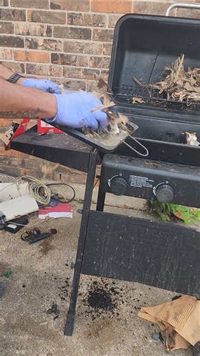 How i clean a greasyBBQ #grill initially using newspaper/carbord/leaves.#greasy #bbq #viral #skillet