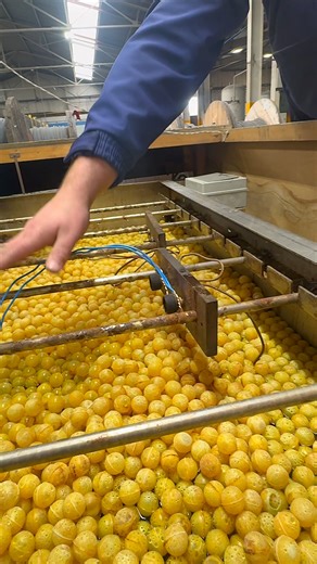 10K views · 74 reactions | What does it take to build a cable you can...