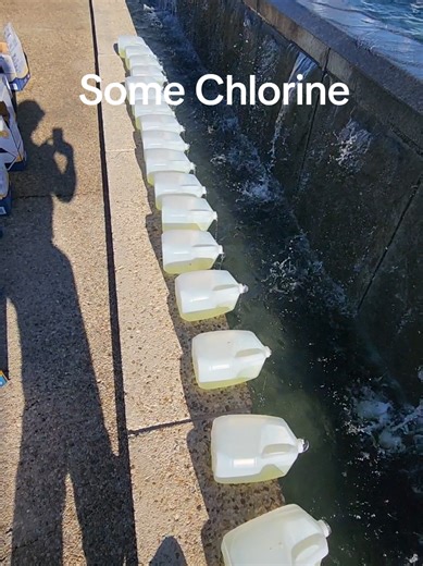 Essential Tips for Maintaining Your Pool's Cleanliness