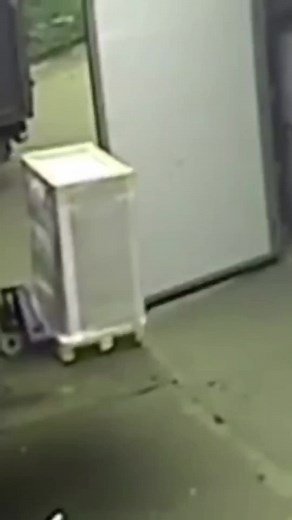 #stop #funnyvideos #fypシ゚viral #viraltiktok #stopmeme