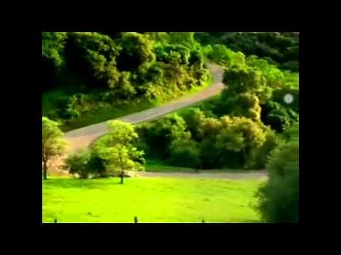 Car Driving (JumpScare)