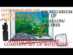 $29 K MART AQUARIUM STARTER KIT COMPLETE SET UP + LANDSCAPE & FISHES & OTHER ACCESORIES