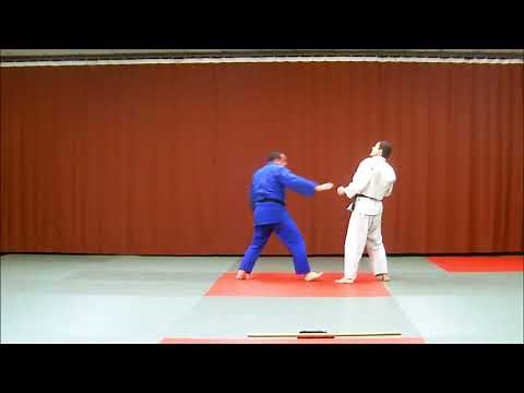 16 techniques jujitsu