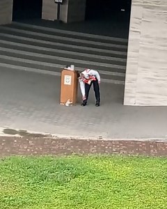 9.3M views · 10K reactions | Security guard is distracted by the cutest kitten  | Furry Tails | Facebook