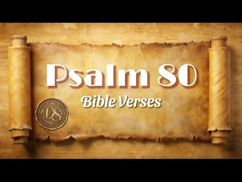 Psalm 80:1-19 | Reading and Listening | Bible Verses