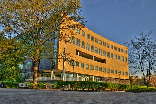 Stillman School of Business