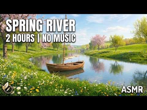2 Hours Peaceful Spring River | Nature Sounds & Birdsong | No Music | Deep Escape 4K