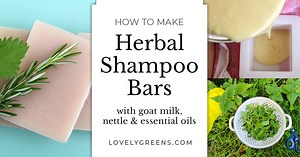 Simple Herbal Shampoo Bar Recipe for Naturally Washing Your Hair