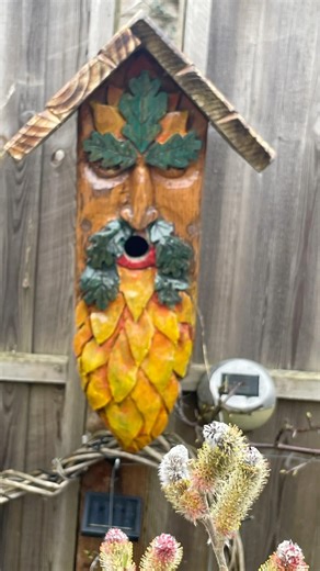 Green man bird house #shorts #art #garden #GreenMan #HandCarved #GardenArt #Woodcraft #FolkArt