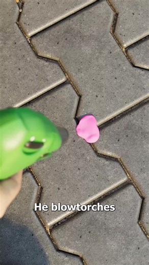 He Paints Tiny Animals On Discarded Gum 😮 | painted gum