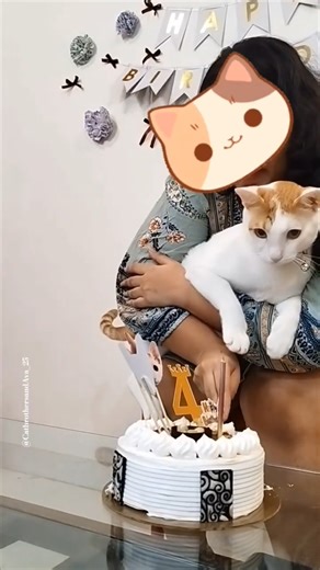 4th Birthday Snippet 🌺✨#cat #shorts #emotional #birthday #birthdaycelebration #cute #pets #aesthetic