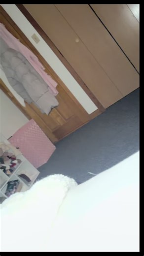 Heartwarming Moments of Dogs Demanding Attention