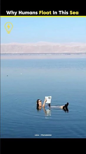 Why Humans Float In The Dead Sea 🤯