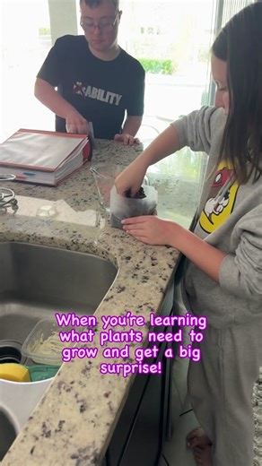 We set up an experiment to explore the plant life cycle with our bean 🫘 plants, using the scientific method. 🌿 We planted six beans: 1️⃣ & 2️⃣ Two received everything a plant could want—soil, water, sunlight, and oxygen. 3️⃣ One got no water. 4️⃣ One was kept in the dark, no sunlight. 5️⃣ One had no access to oxygen. 6️⃣ And the last one, no soil. Just a week later, and we’re already seeing some sprouts! The two that had it all are thriving, as expected, but to our surprise 😮– the one without