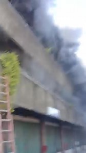 24K views · 298 reactions | Breaking news: usa ka hitabong sunog diin usa pud ka babaye iyang gi-una sapag luwas ang iyang mga binuhing iro. Sa Cebu Mandaue dool sa 7/11 #cttocredittotherightfulowner  | Jhong Cuysona Boston | Facebook