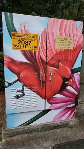 Painted UTILITY BOX: RED CARDINAL & Flower! TRAFFIC Box MURAL, SouthFlorida!, #shorts, #mural, #art