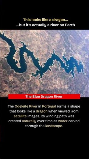This River Looks Like a Dragon From Space 🐉🌍 #short #shorts #viralvideo