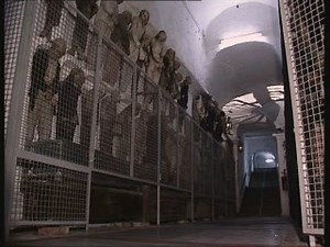 le Catacombe dei Frati Cappuccini | Funny MeMe Girl