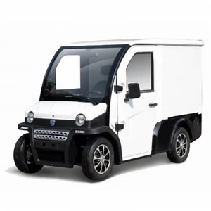 [Hot Item] 2 Seats Electric Van Transport Vehicle Mini Box Truck for Cargo Delivery