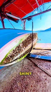 Scraping tool removes barnacles from boat #HullCare #CleanBoat #MarineWork | Mundo Videos