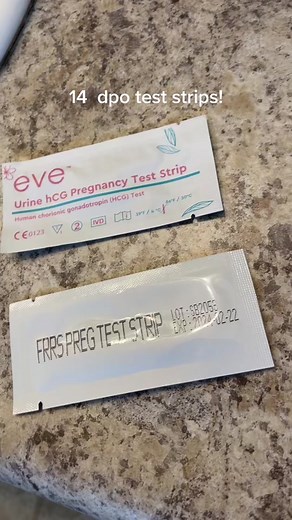 14 DPO Pregnancy Test Strips Comparison | Eve vs. First Response