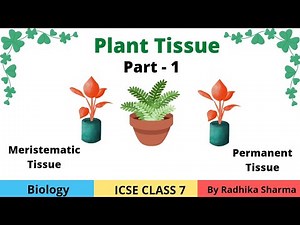 Plant Tissue | ICSE Class 7 Biology | Part - 1 | Meristematic & Permanent Tissue | Radhika Sharma 🍀