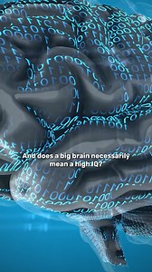 55K views · 74 reactions | Is Intelligence Linked To Brain Size? | IFLScience | Facebook