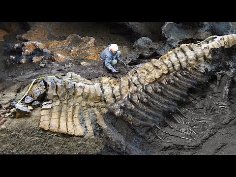 9 Most Amazing Recent Discoveries!