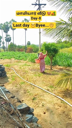 😔🏕I don't know a week has passed..🤩🥰|holiday with mother in law home|#minivlog #reels #viral #vil...