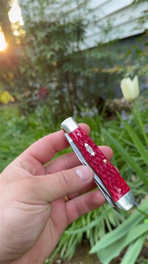 Case Trapper Dark Red Bone #casetrapper#caseknives#casexx#carbonsteel