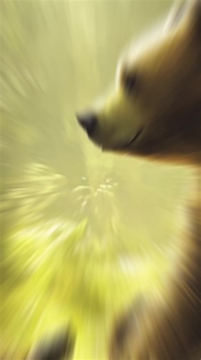 Whos winning in a fight? #animalfusion #ai #aiautomation