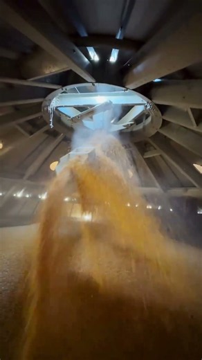 Do you know what the inside of a large grain silo looks like?