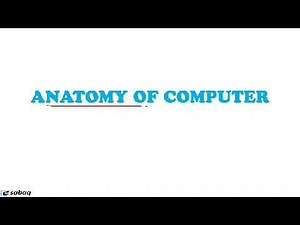 Anatomy of Computer