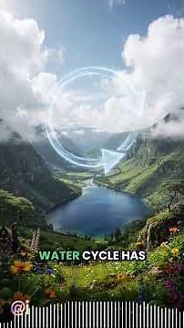 The Four Stages of the Water Cycle