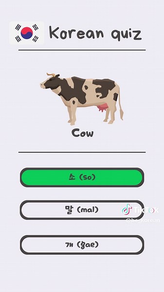 Learn Korean with Engaging Quizzes!