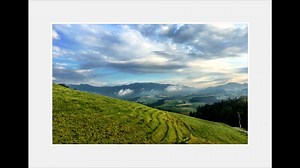 New Morning (with horns) - Bob Dylan